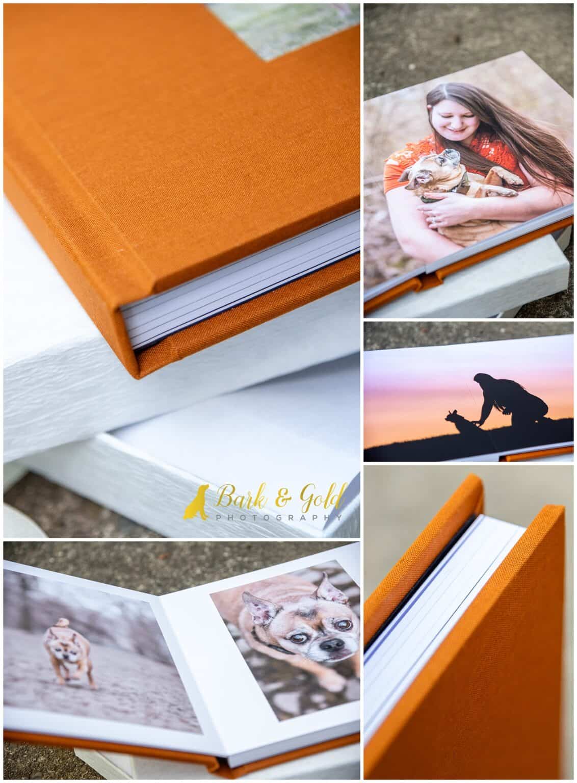 The Impact of Color Choosing Bold Cover Materials for Fine Art Albums