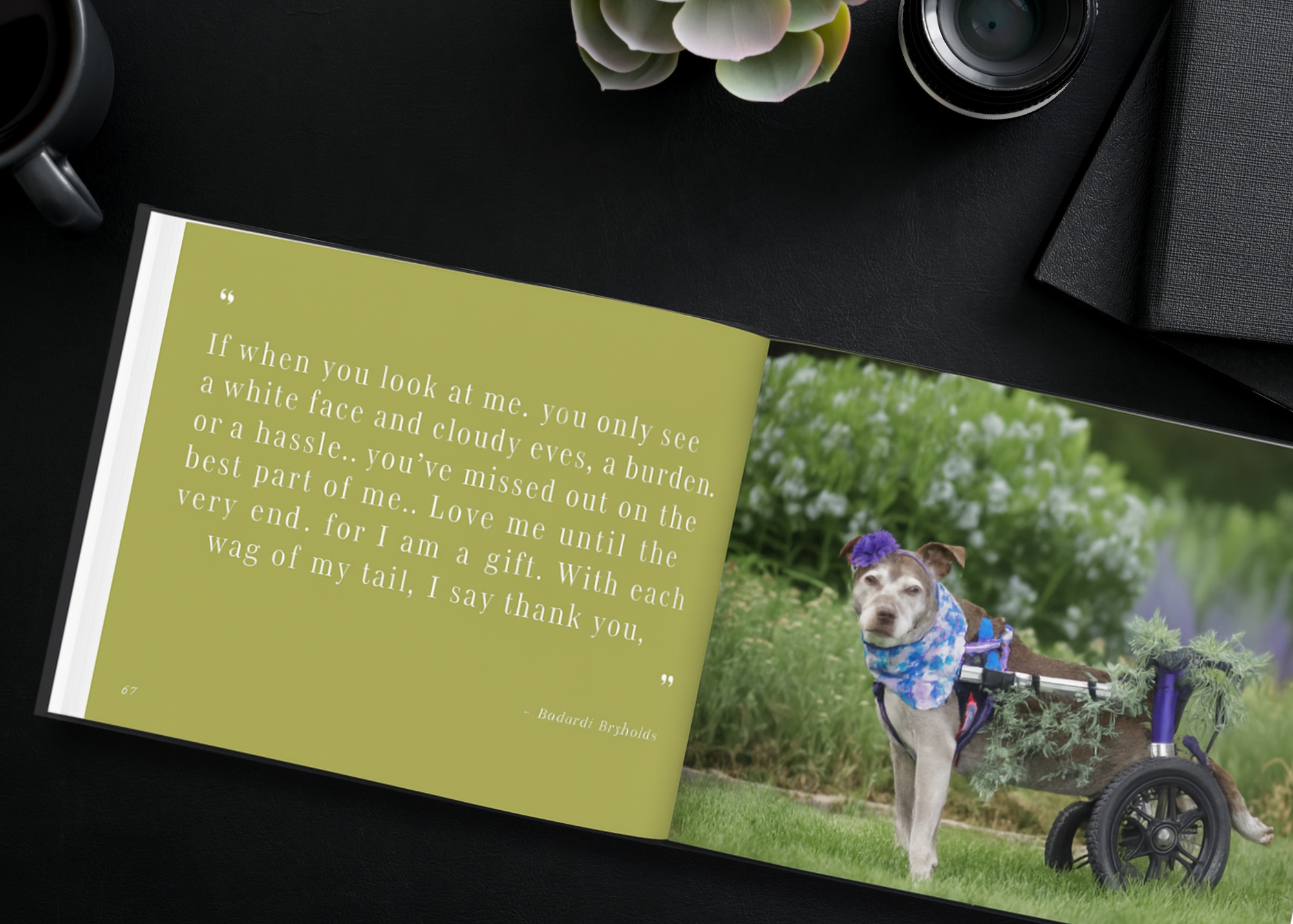 open-timeless-tails-quote open-timeless-tails-quote