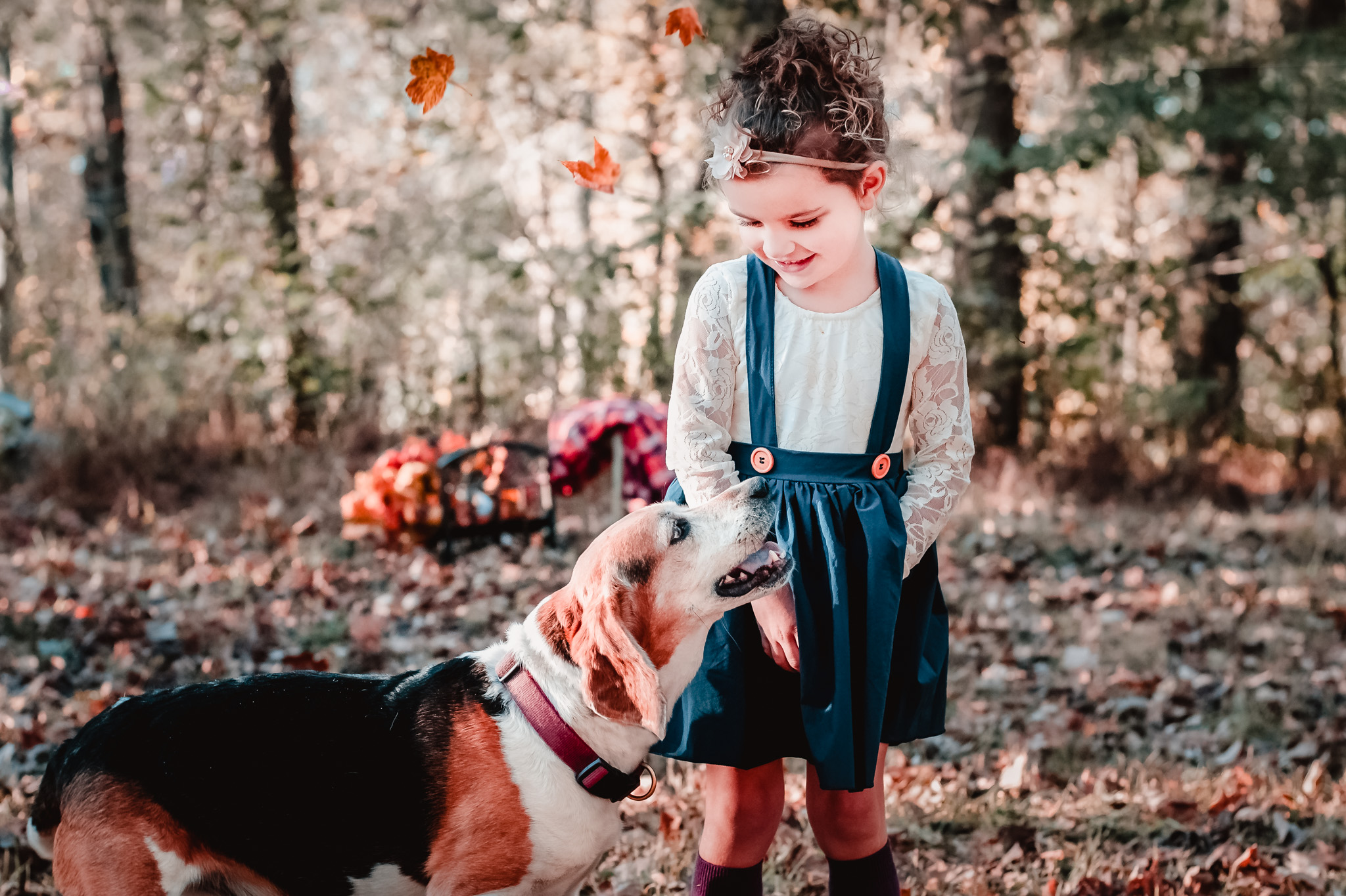 little girl looks lovingly at beagle in autumn woods near pittsburgh