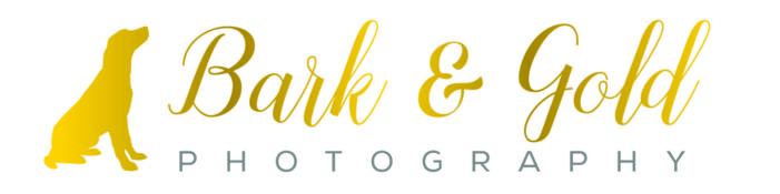 Bark & Gold Photography - Pittsburgh Pet Photographer
