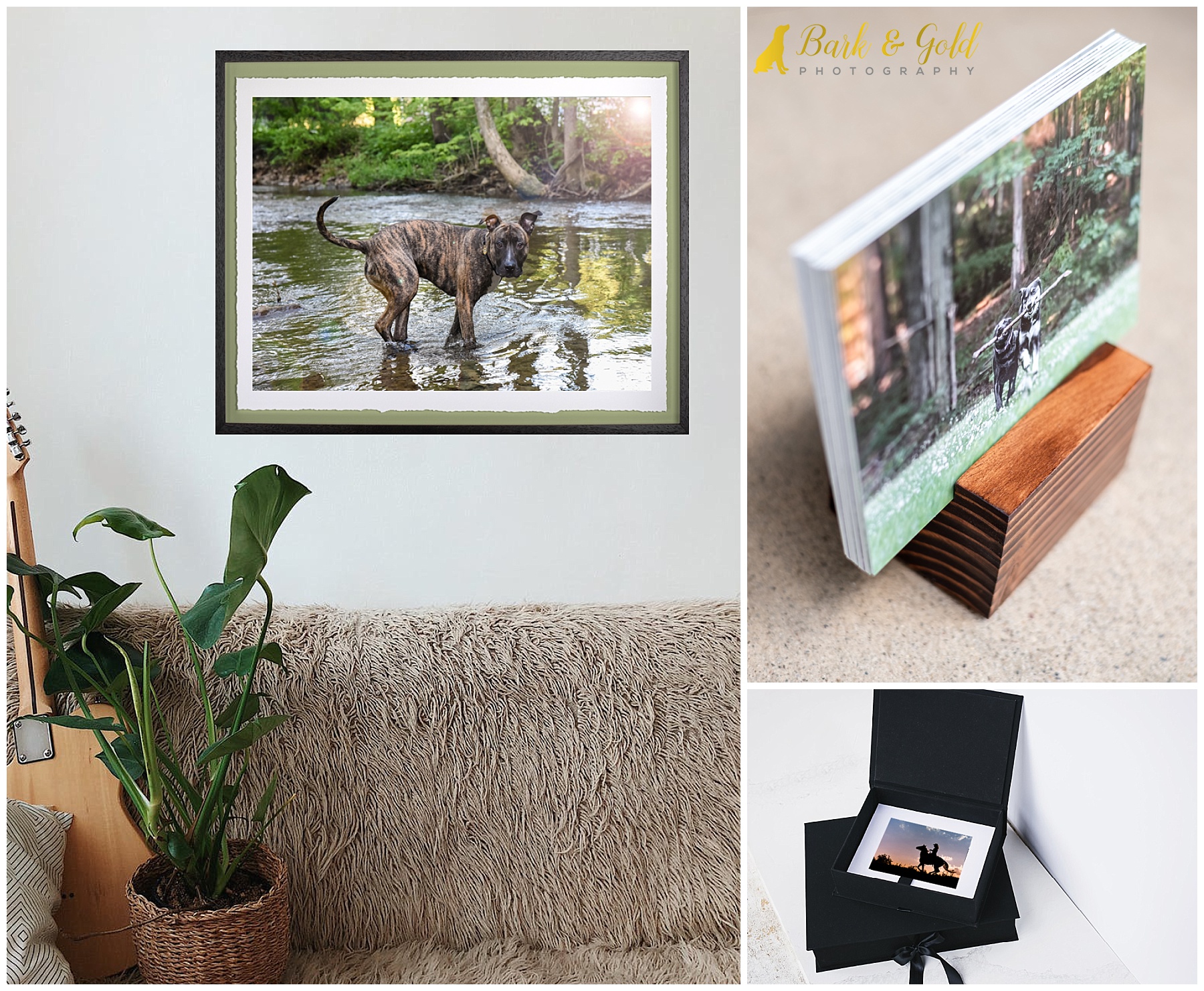 products from Fine Art Pawtrait Sessions