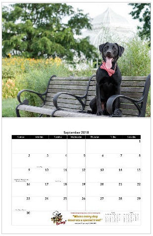 Bark & Gold Photography 2018 FurKid Rescue pet calendar with month of September