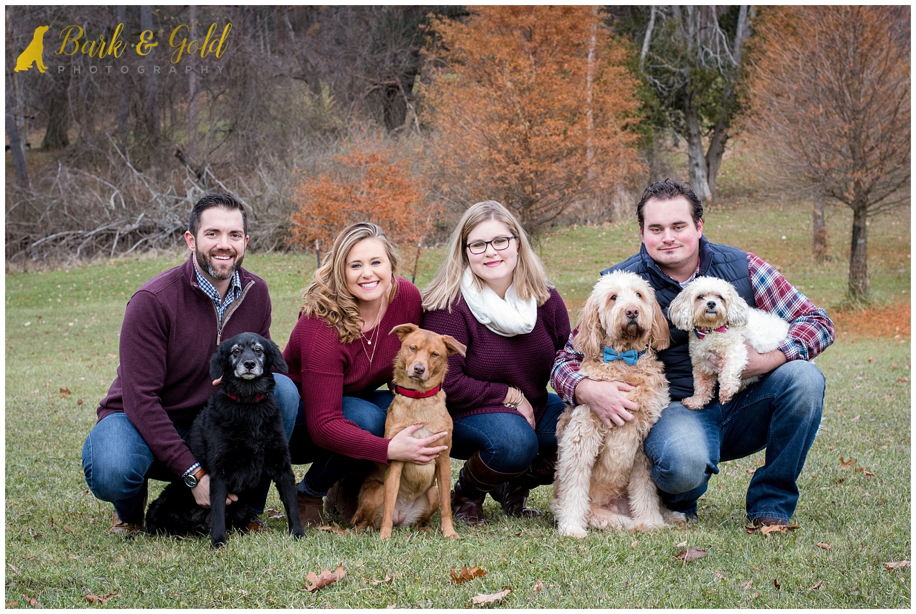 siblings pose with four dogs in a field during a fall portrait session at North Park in Gibsonia