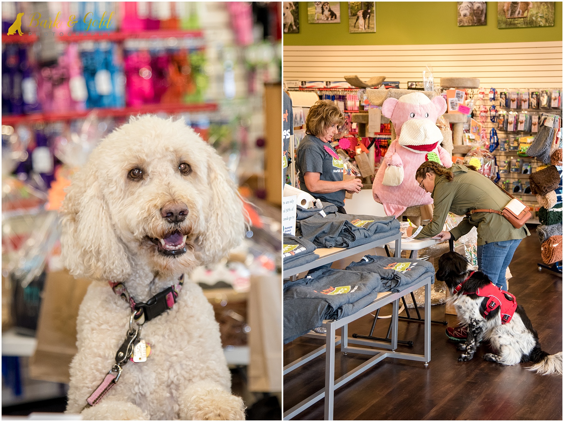 dogs shopping in Healthy Pet Products during Healthy Pet Day 2018