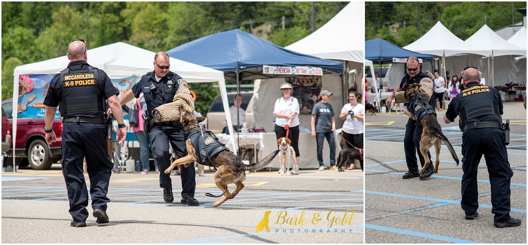 McCandless Police k9 officer performing a bite during Healthy Pet Day 2018