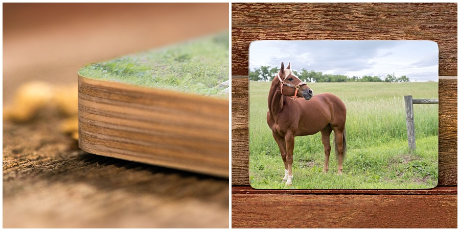 artisan wood sample with horse