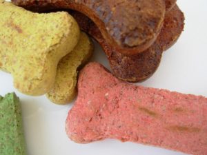Say Cheese: 8 Pittsburgh Places To Find Healthy Treats for Your Dog's Session