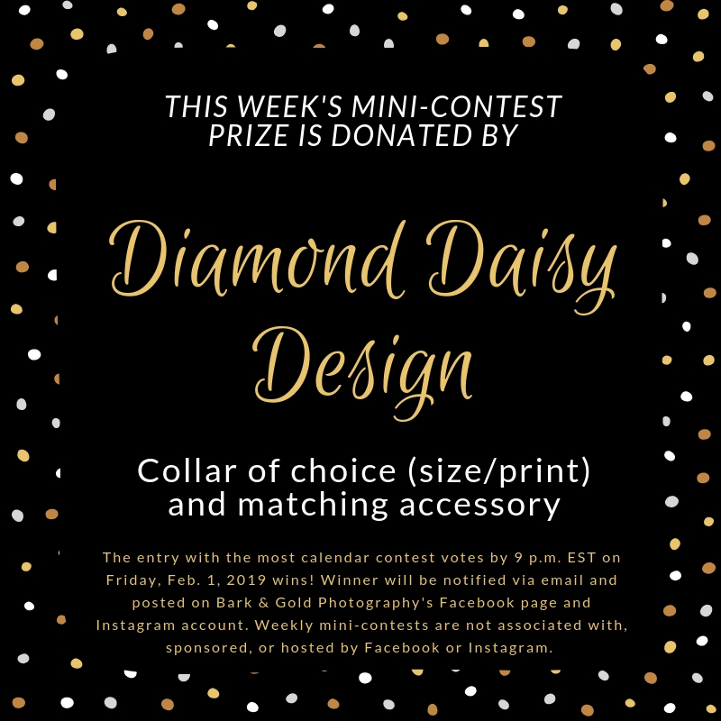 Diamond Daisy Design mini-contest prize announcement
