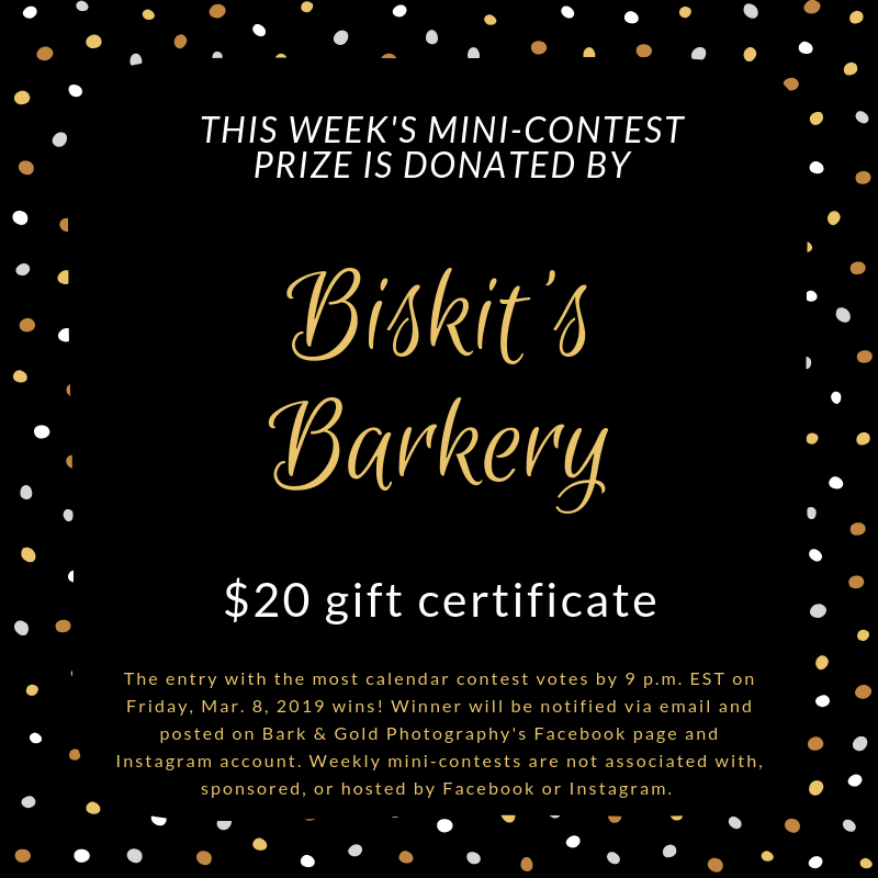 Biskit's Barkery mini-contest prize announcement