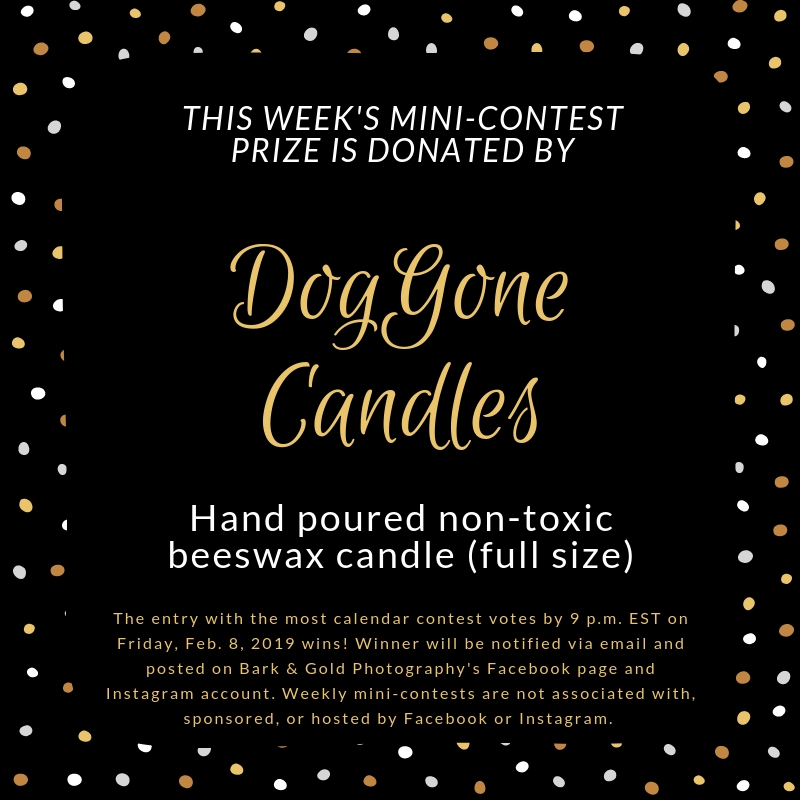 DogGone Candles mini-contest prize announcement