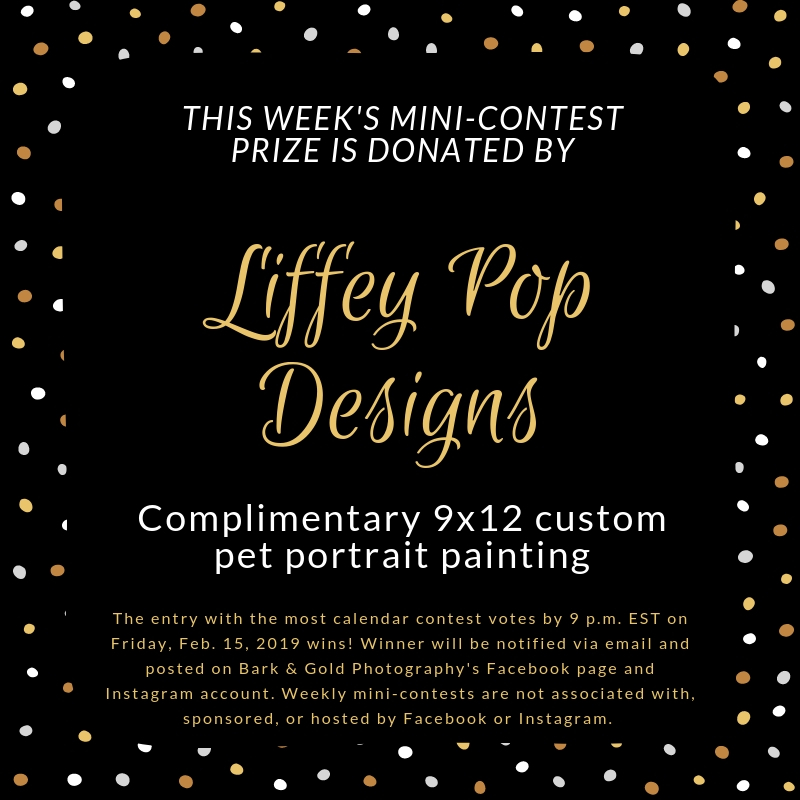 Liffey Pop Designs mini-contest prize announcement