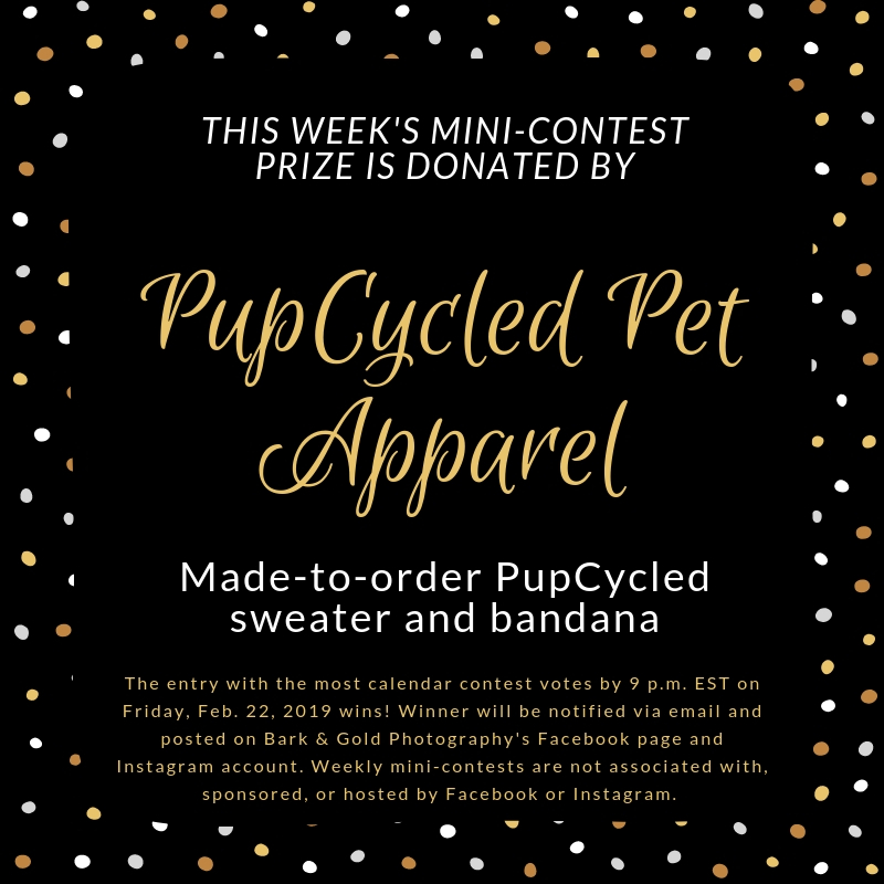 PupCycled mini-contest prize announcement