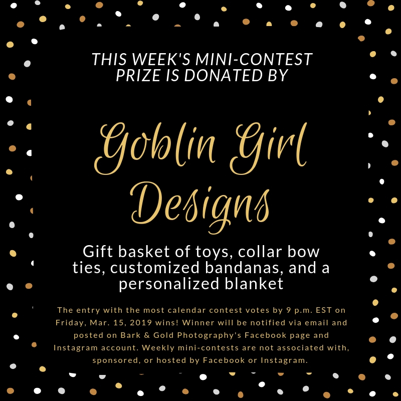 Goblin Girl Designs mini-contest prize announcement