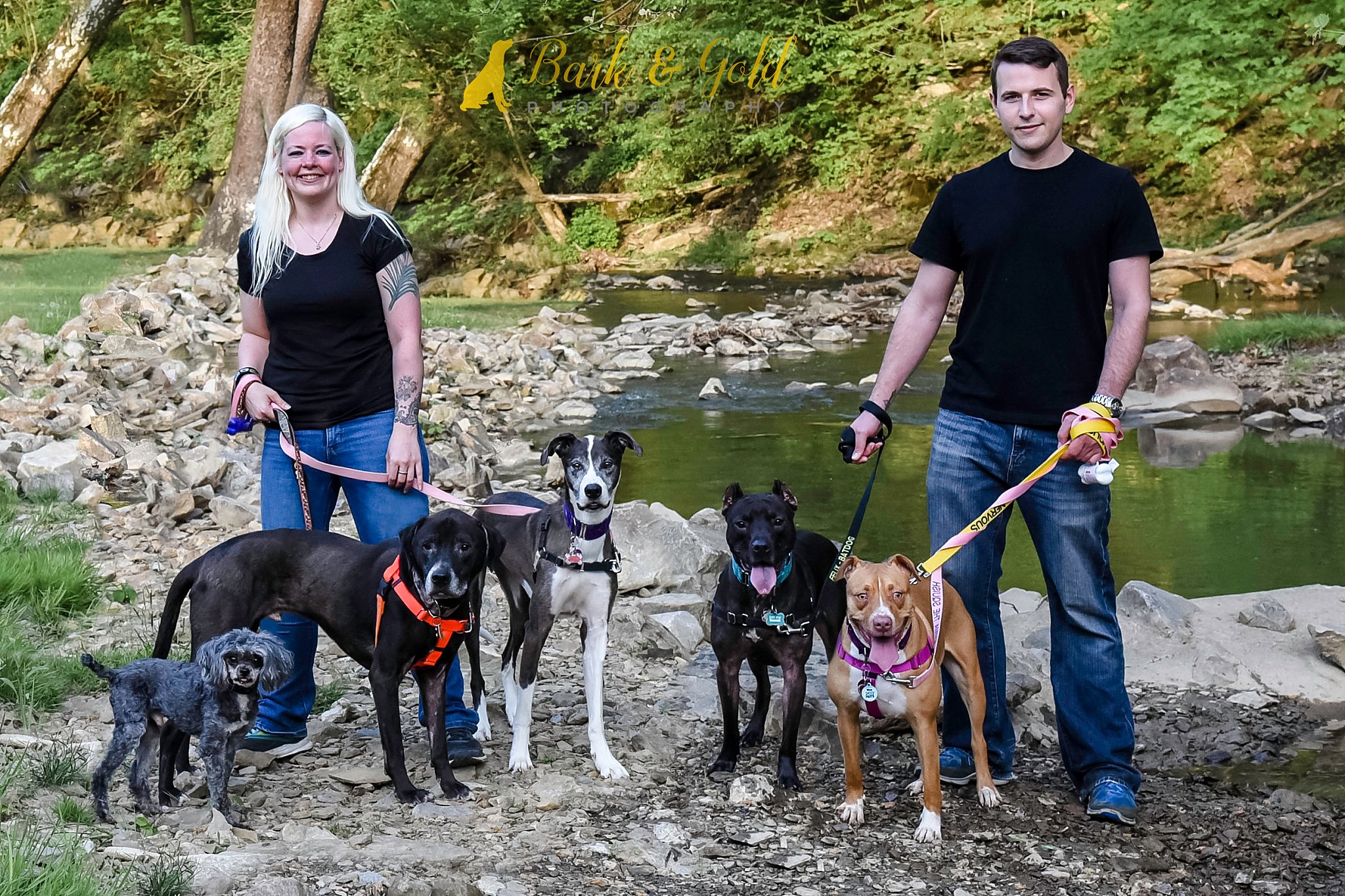 Sarver family photo with dogs at Mingo Creek Park