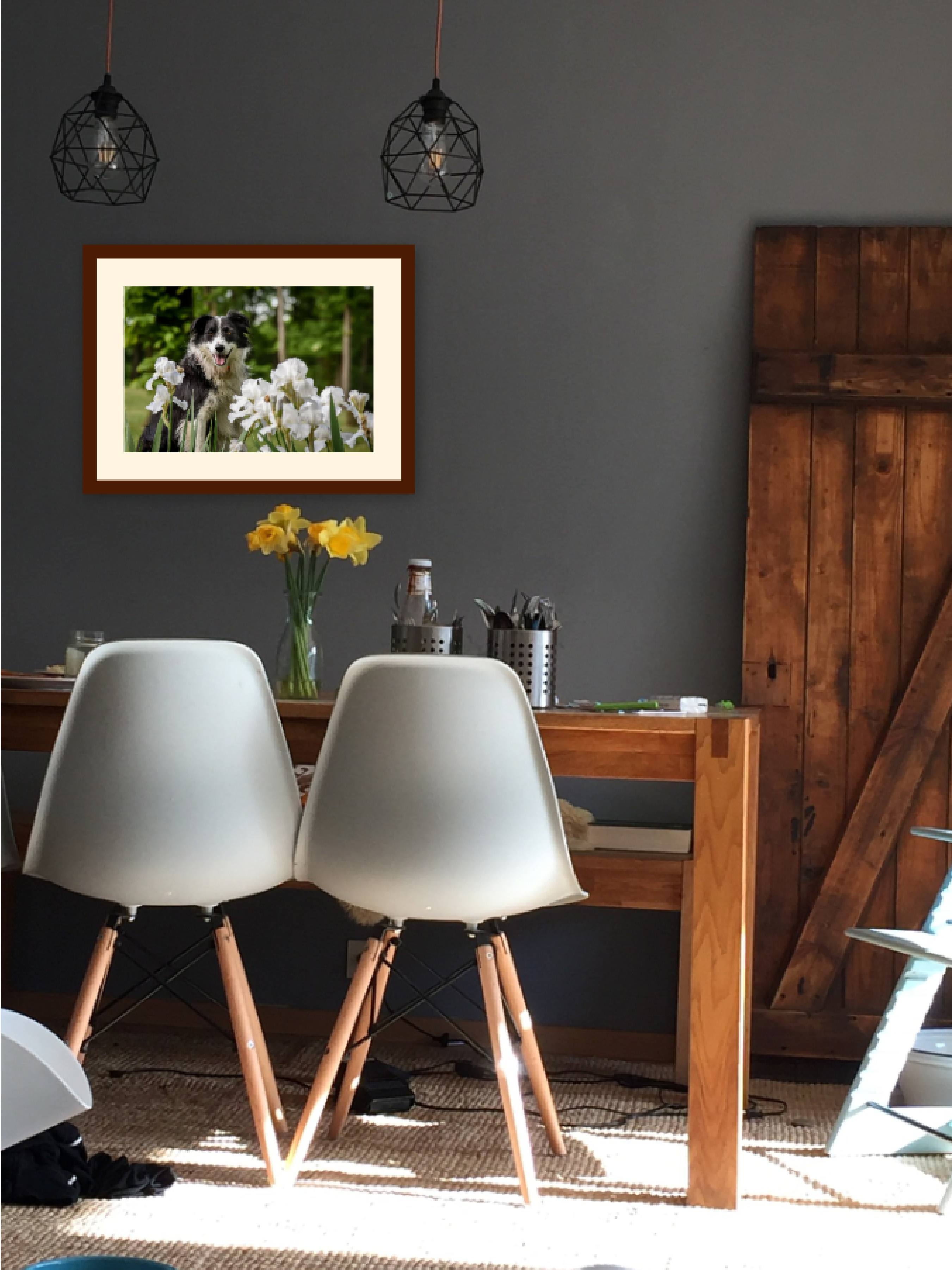 framed print of border collie in modern gray dining room