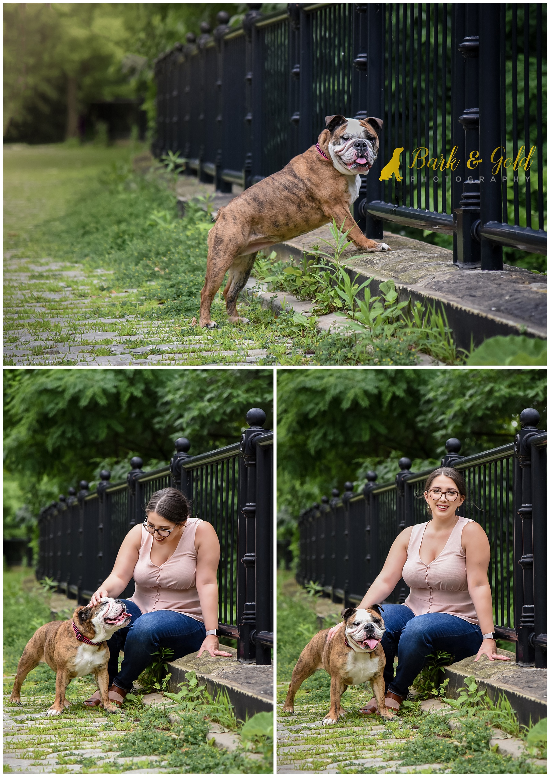 bulldog loving on owner at a cobblestone path in Schenley Park near Pittsburgh