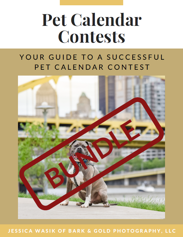 guide bundle for calendar contest guides