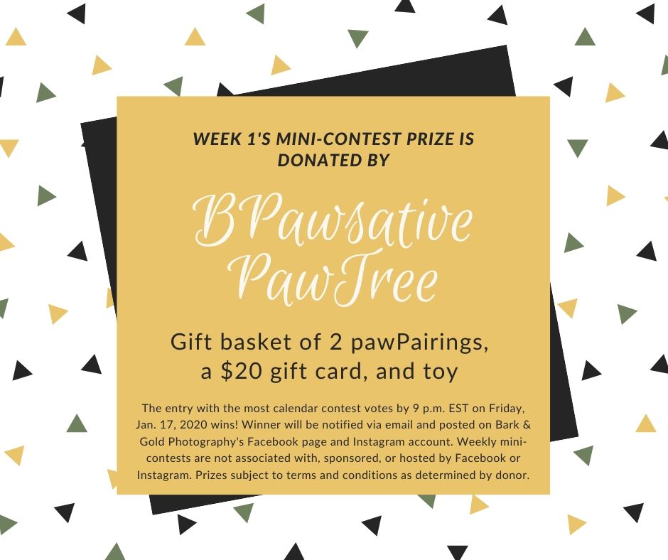 BPawsative PawTree weekly mini-contest sponsor for Biggies Bullies calendar contest