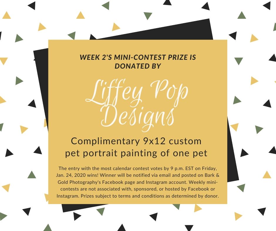 Liffey Pop Designs weekly mini-contest sponsor for Biggies Bullies calendar contest