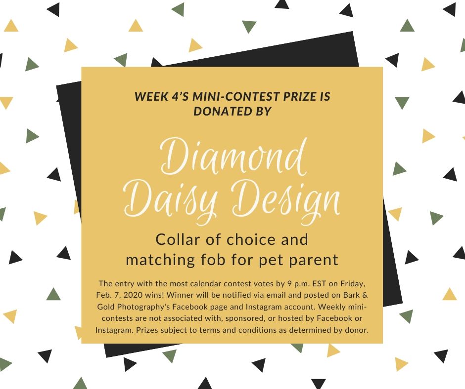 Diamond Daisy Design weekly mini-contest sponsor for Biggies Bullies calendar contest