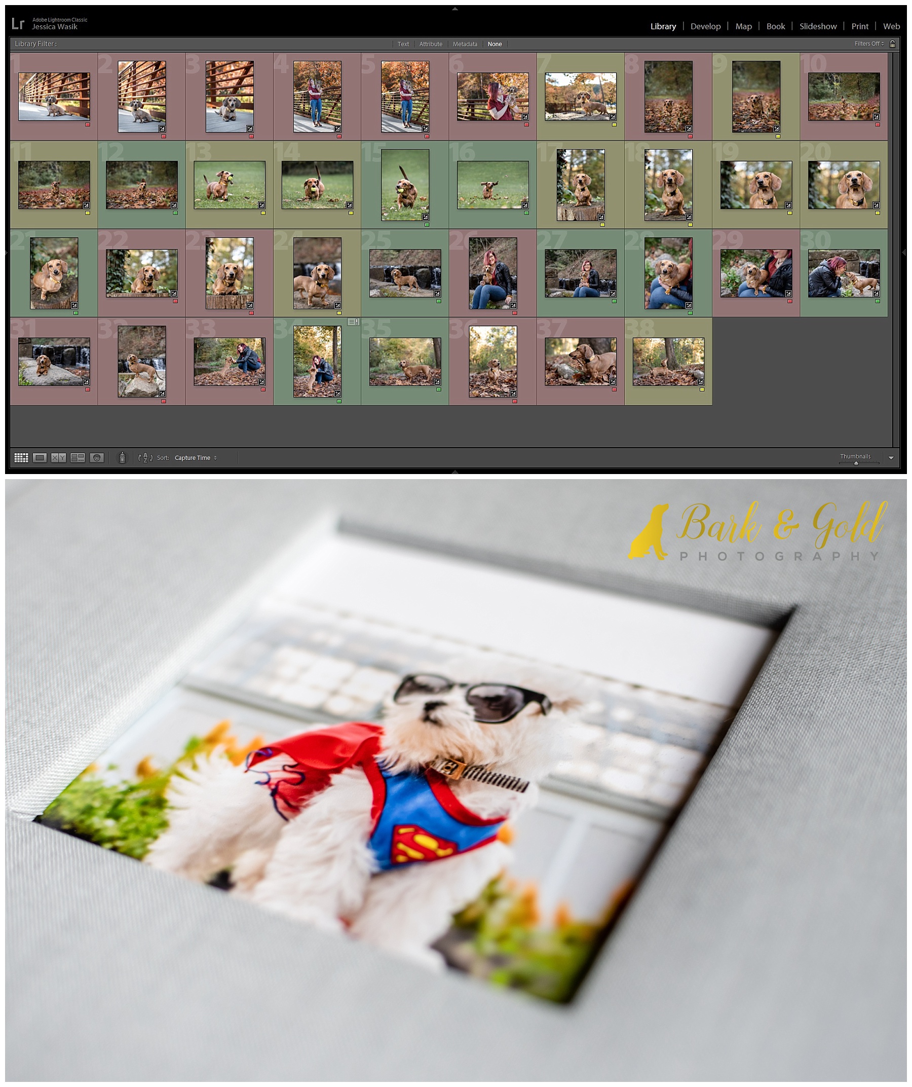 Lightroom gallery and product sample for a reveal and ordering appointment