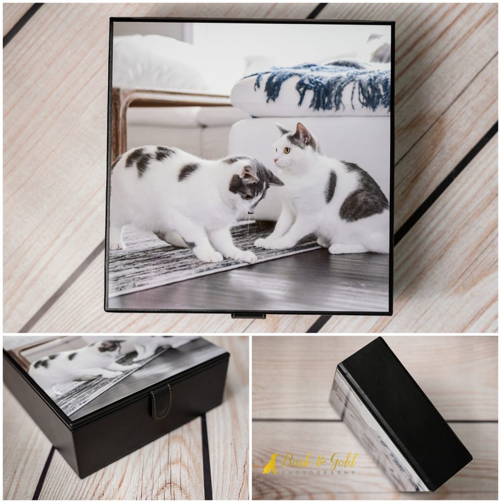 8x8 leatherette and metal top memory box with two kittens on the cover