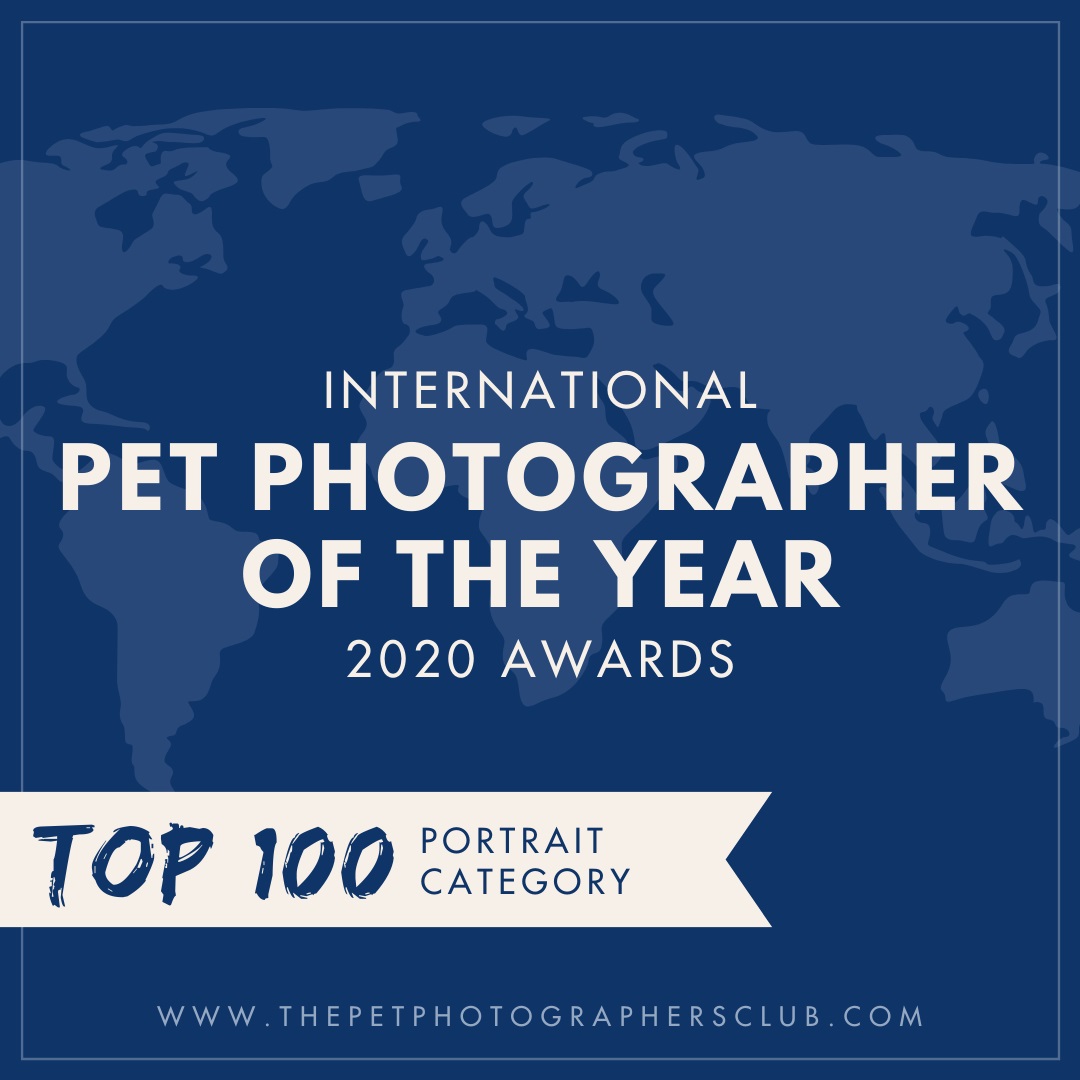 International Pet Photographer of the Year 2020 Awards Top 100 Portrait badge