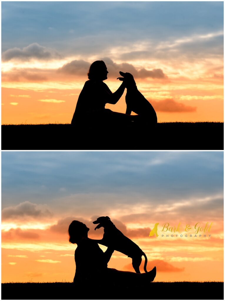 Italian Greyhound loving owner during a Silhouette Sunset Session near Pittsburgh