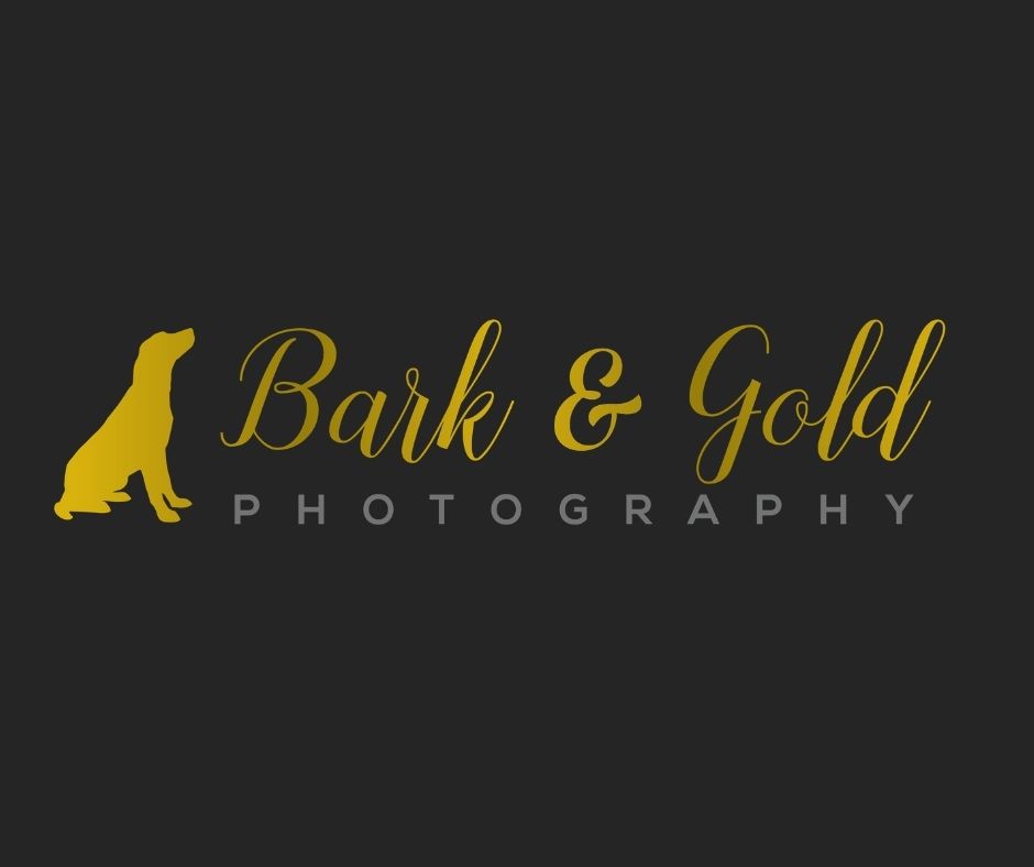 Bark & Gold Photography logo