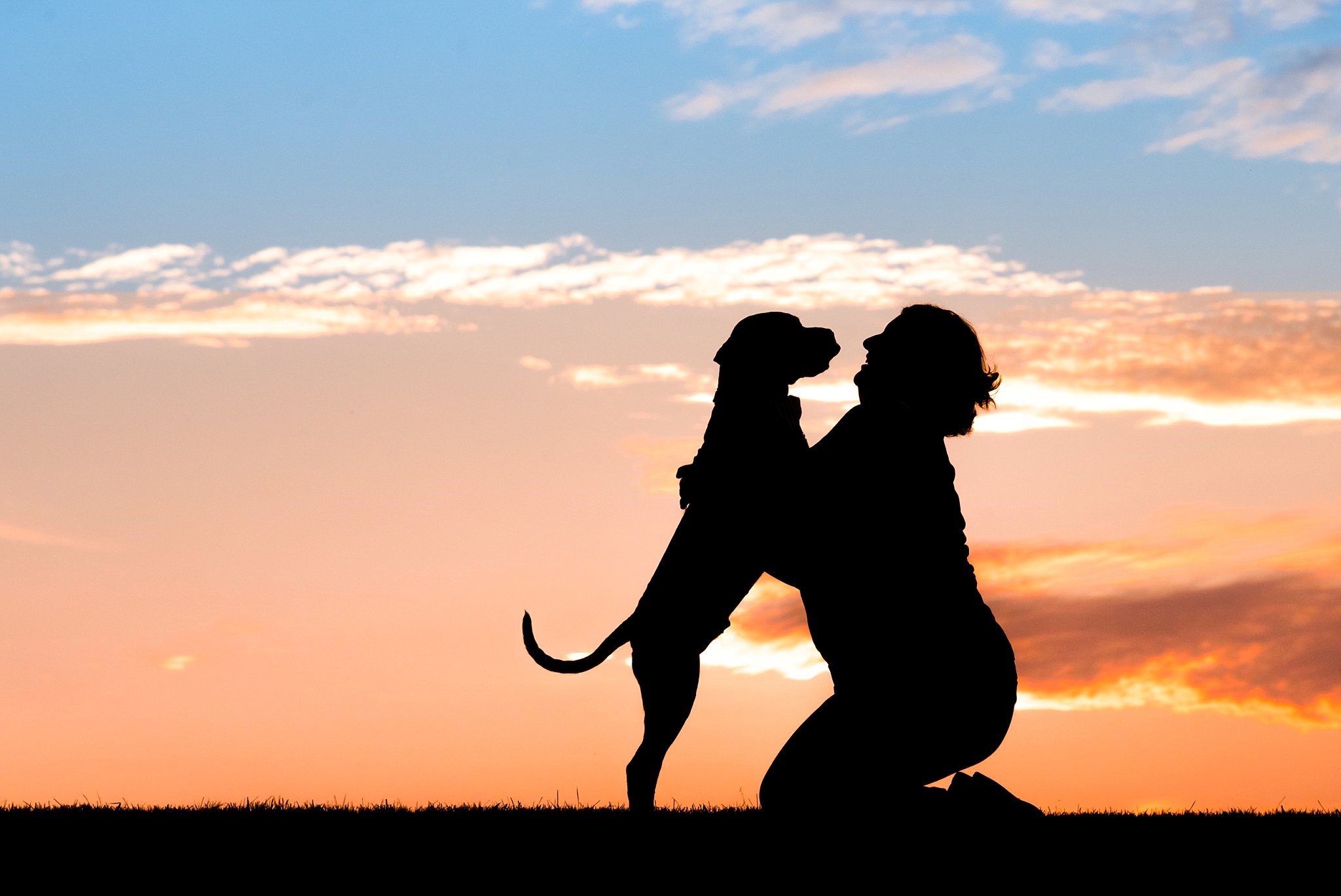 woman embracing dog against a silhouette sky