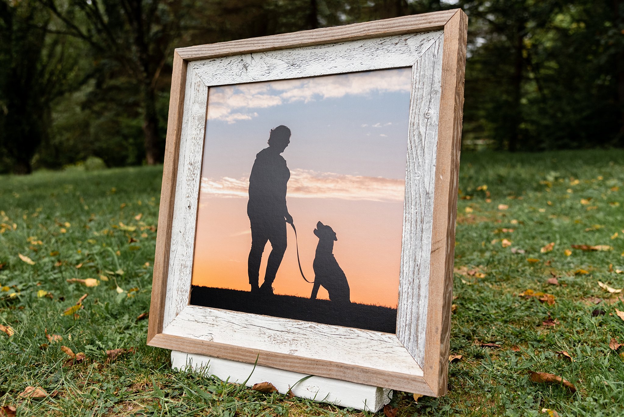 barnwood framed print silhouette
