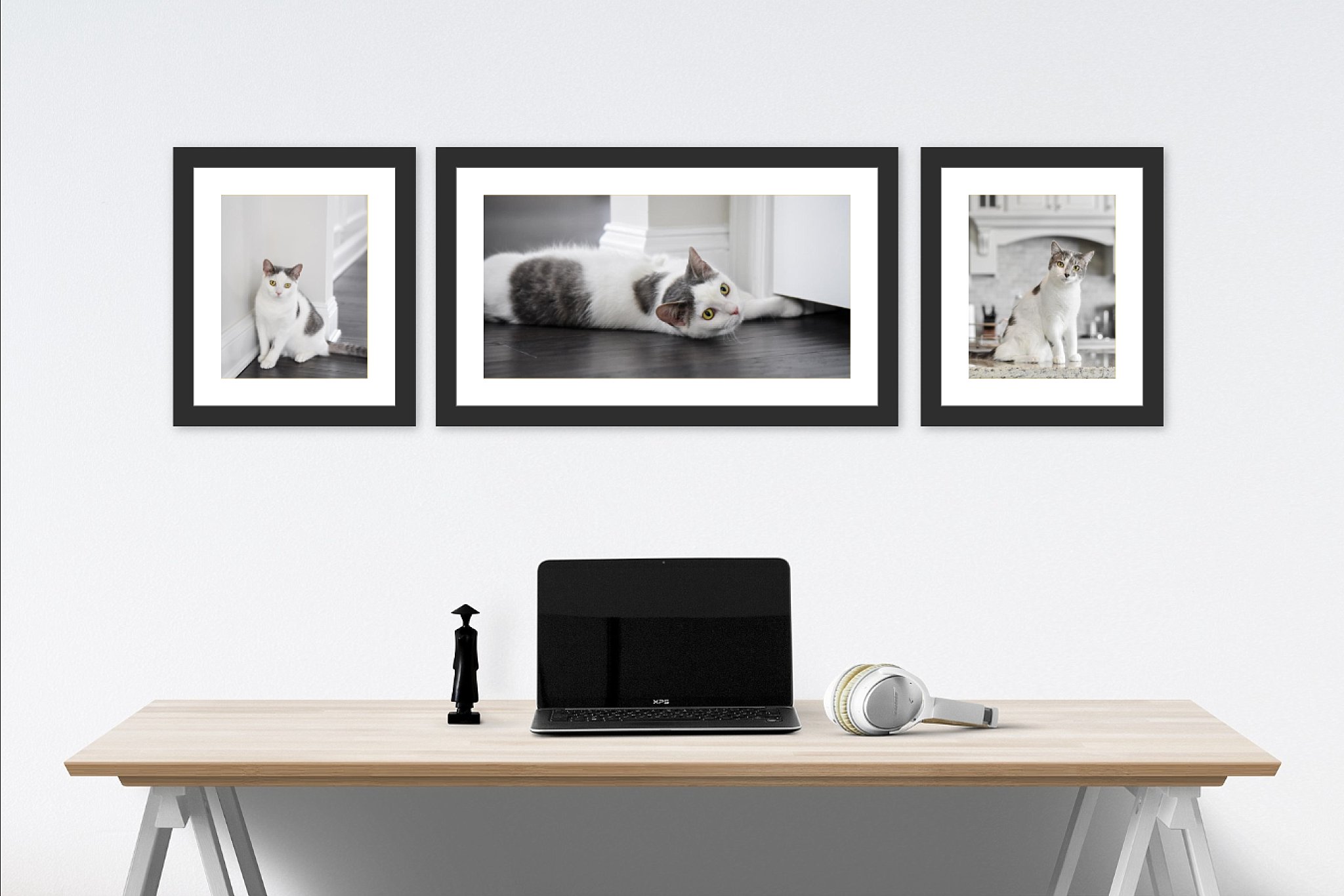 trio of framed prints of a kitten