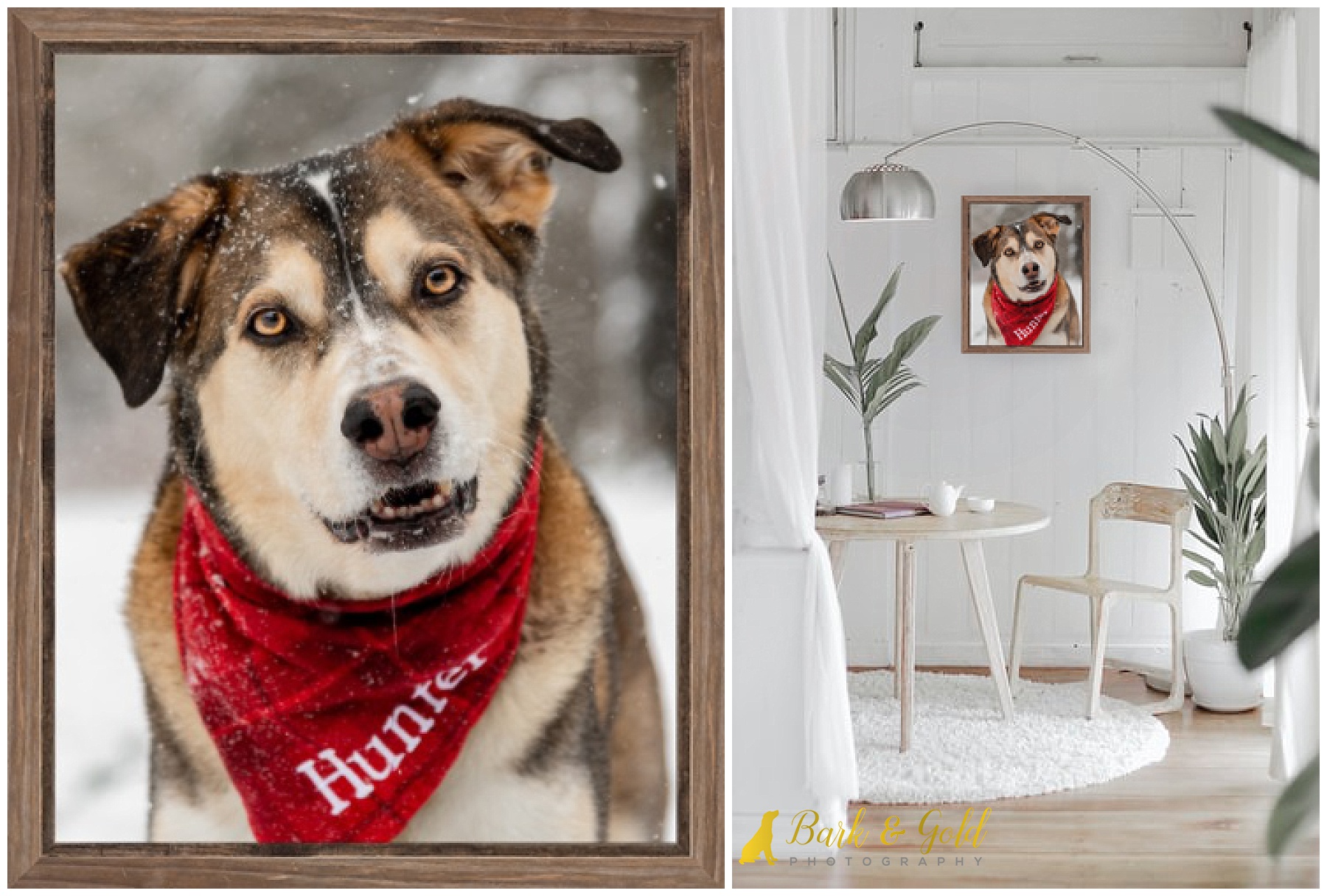 mockup of a barnwood framed canvas in a white rustic room