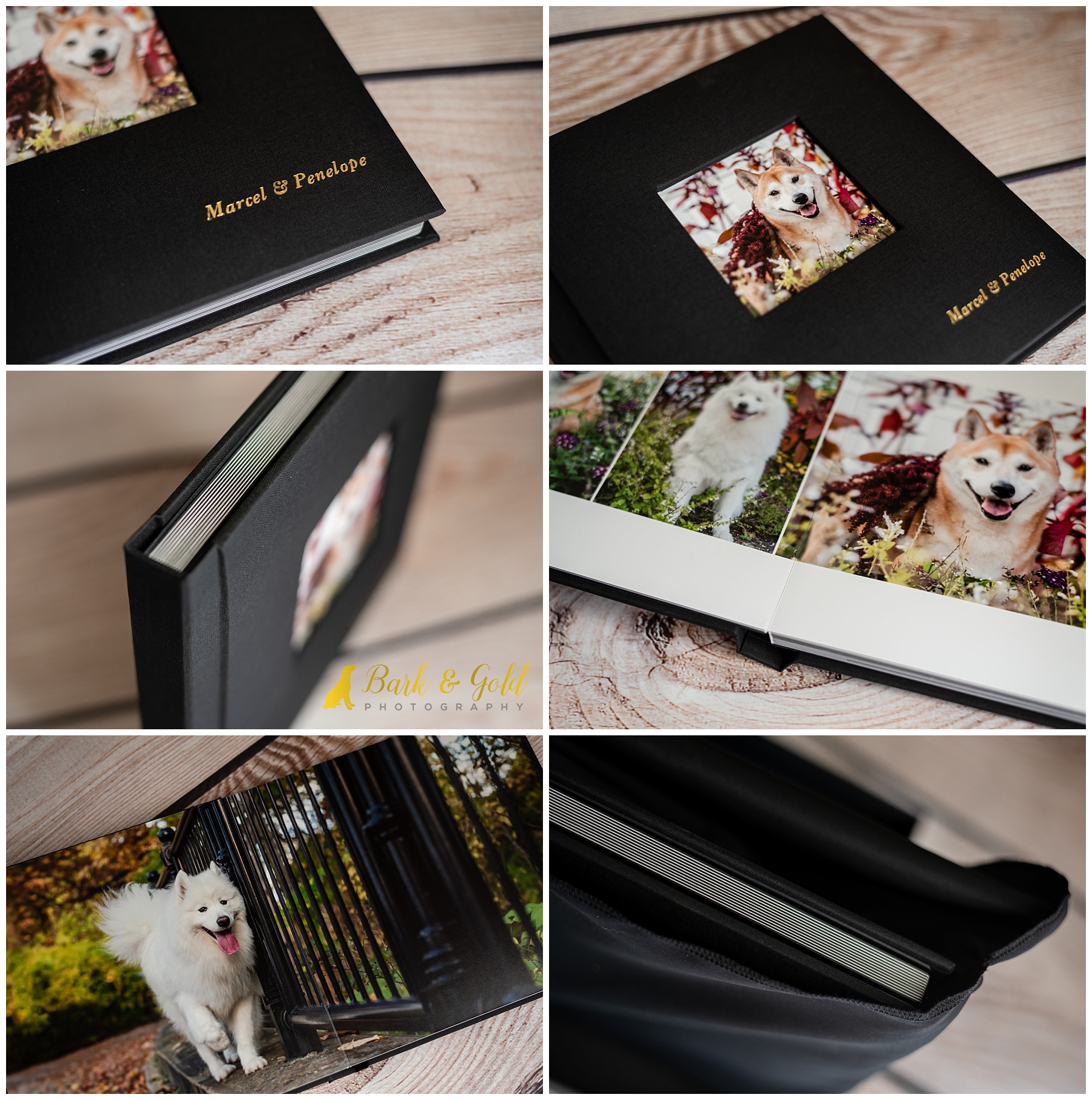 fine art album with black linen and page spreads featuring a Shiba Inu and Samoyed