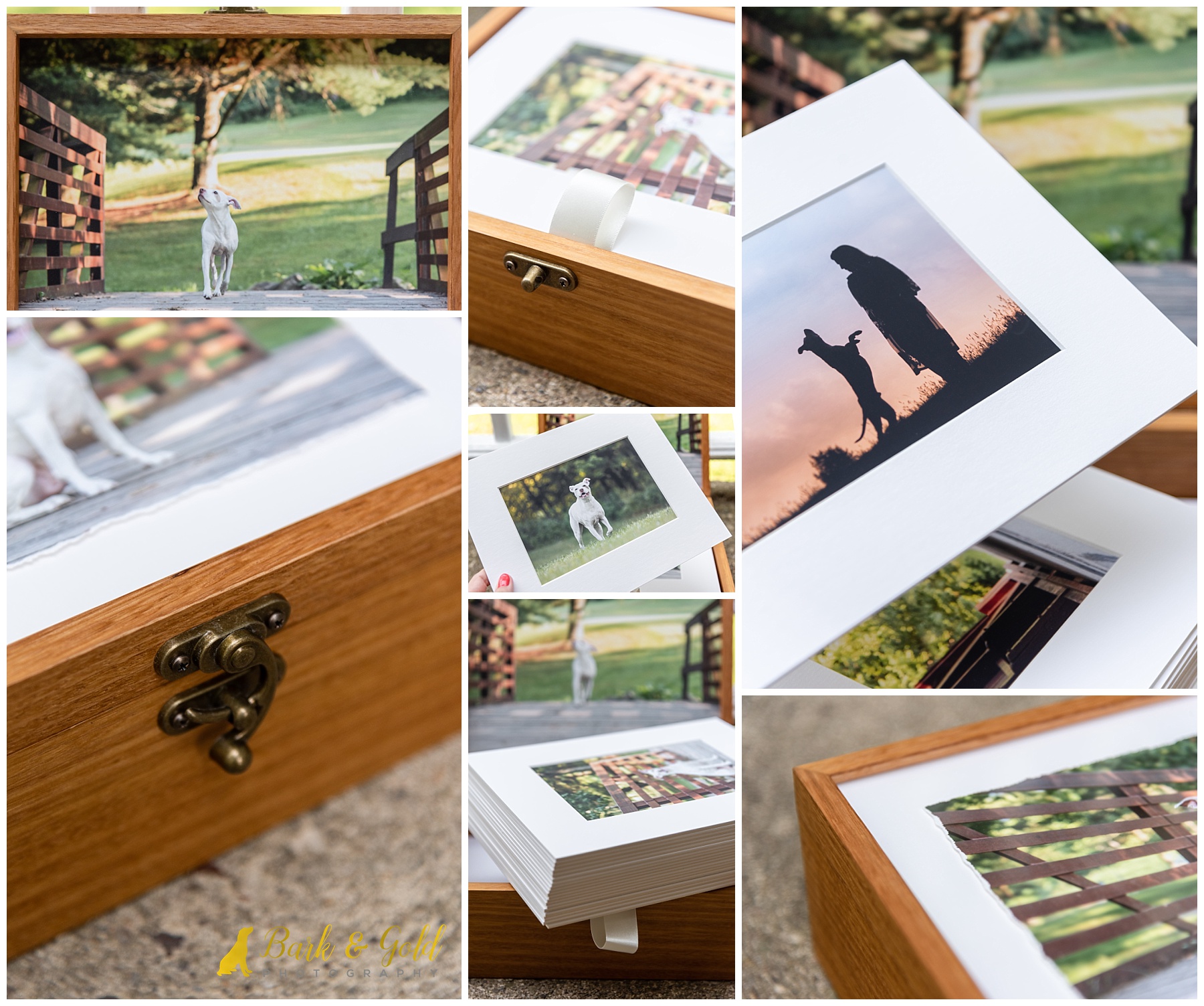 bamboo heirloom folio box with 20 matted prints from a pit bull's session at Mingo Creek Park in Washington County