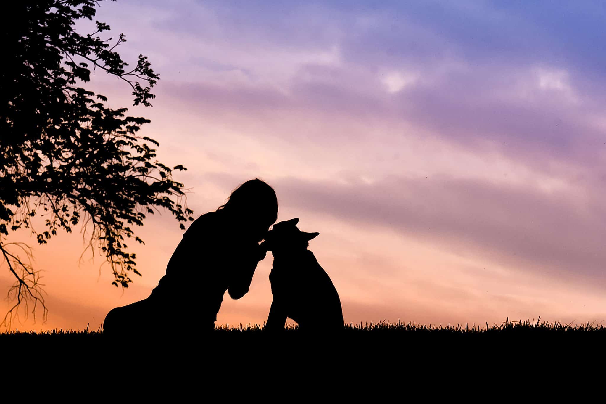 silhouette of a woman kissing her dog's head against a sunset sky at Mingo Creek Park