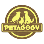 Petagogy logo