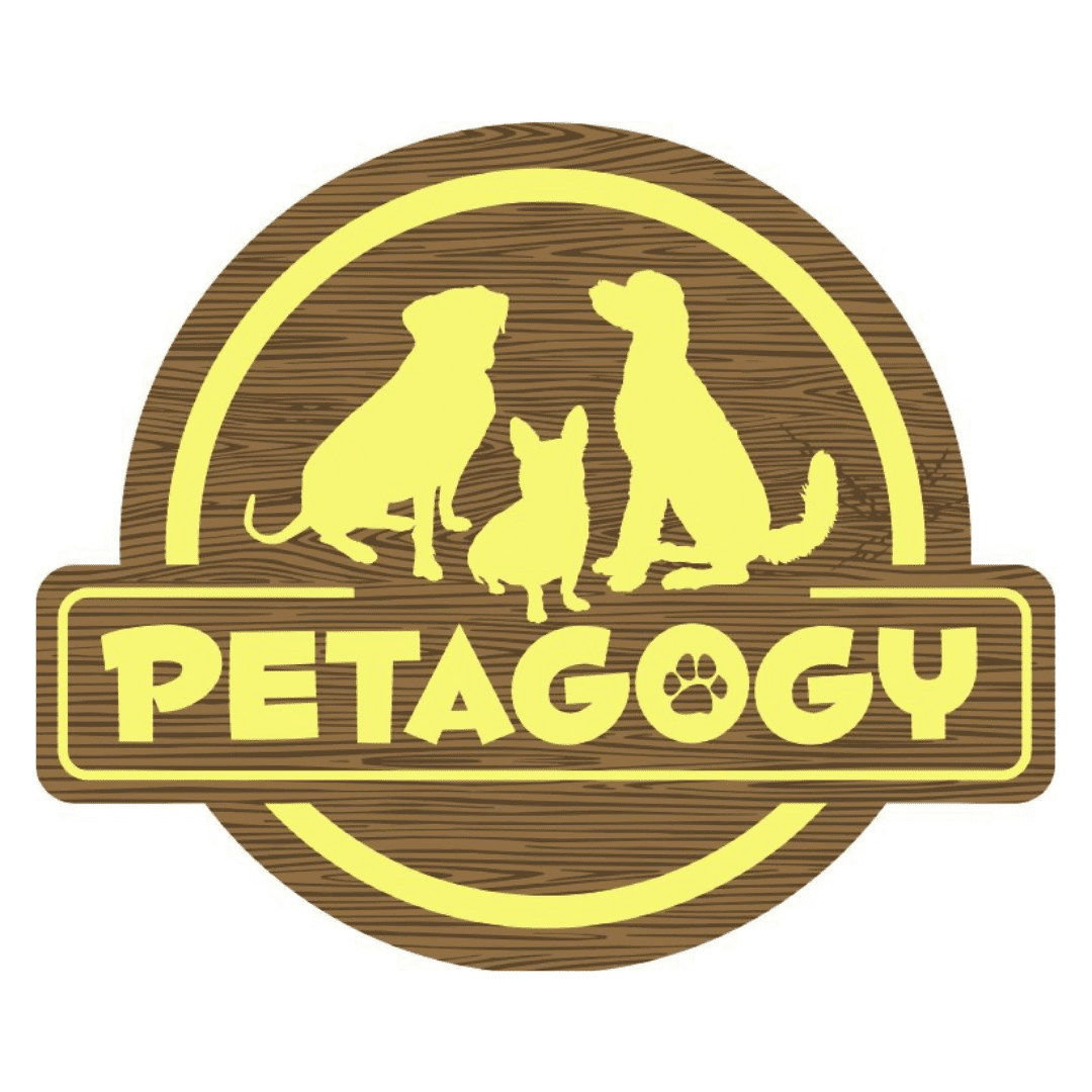 Petagogy logo