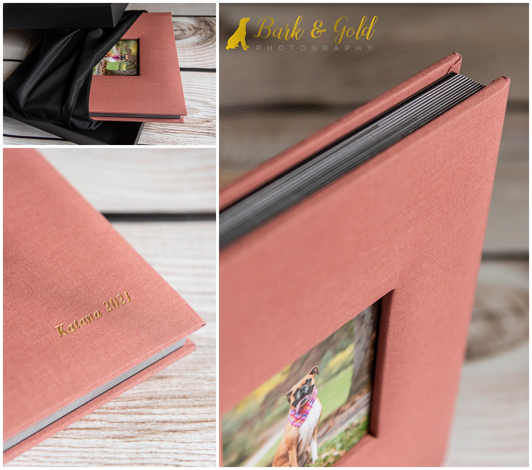 fine art album with a dusty rose luxury linen cover with images from a boxer's fall session at Brady's Run Park