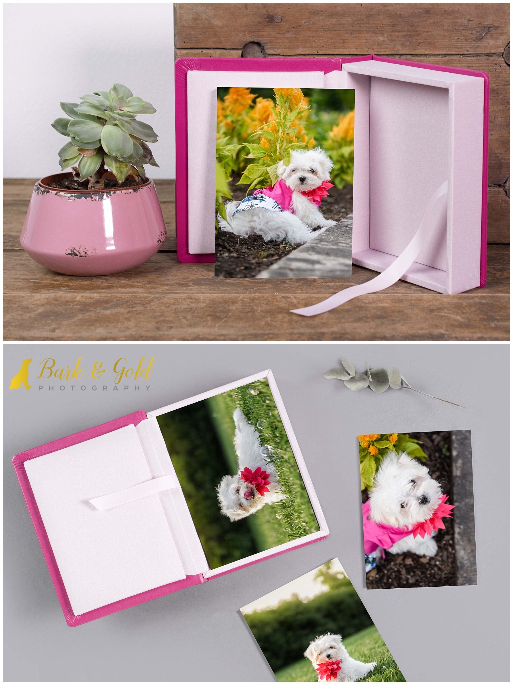 boutique add-on pink leatherette classic folio box of 10 mounted prints of a Maltese puppy
