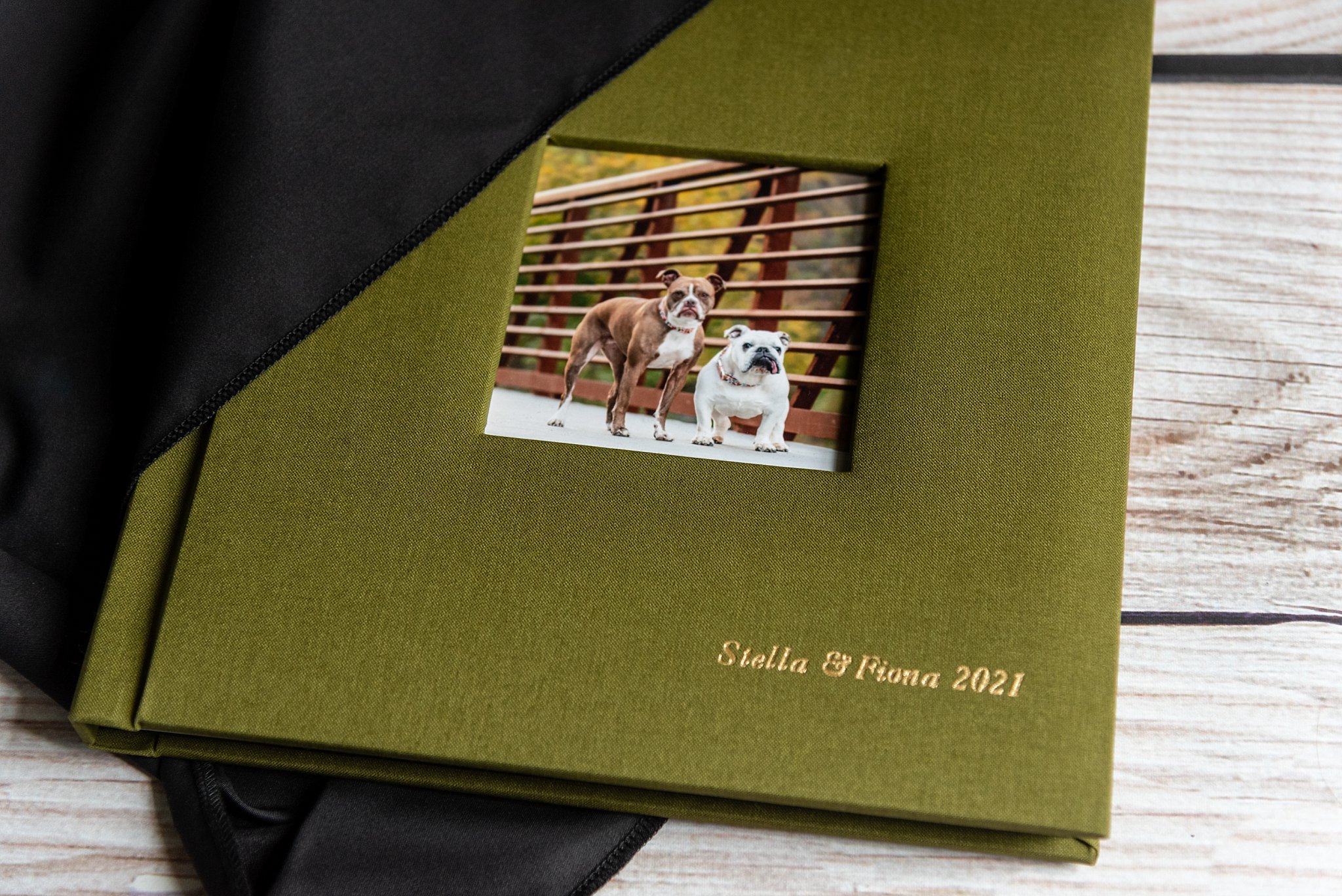 10x10 fine art album with a dark olive luxury linen