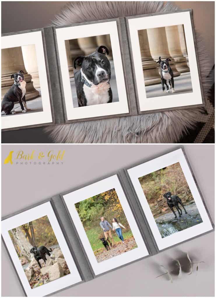 mockups of portrait trios featuring rescue dogs
