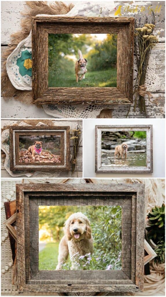 rustic barnwood frames of outdoorsy dogs to match farmhouse home décor