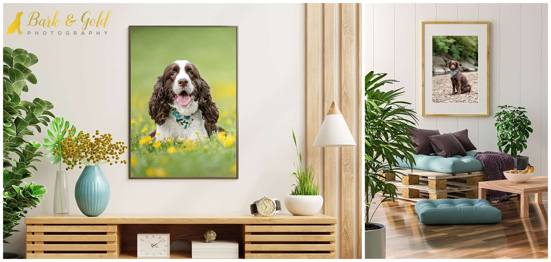 simple wood framed prints with spaniel mixes in mid-century-modern rooms