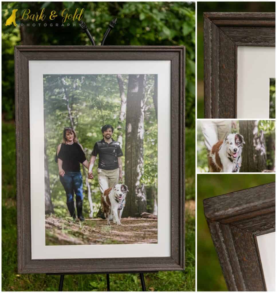 traditional framed print featuring dark weathered wood and a couple walking in the woods with their senior mutt