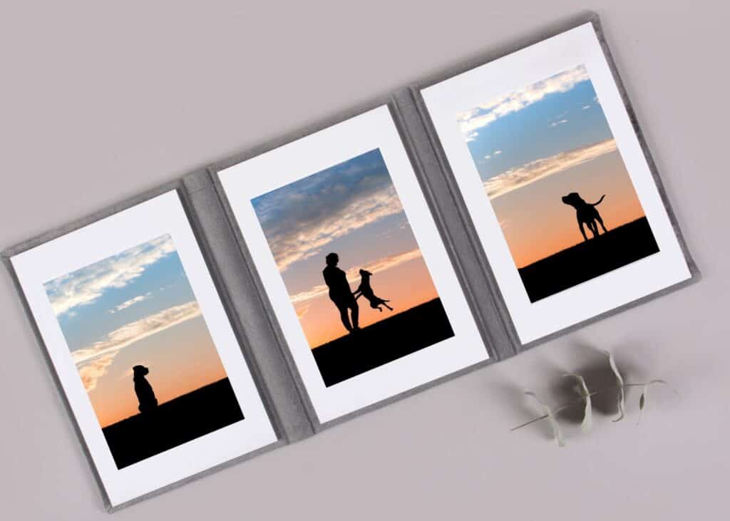 a gray suede portrait trio of a pit bull and his mom at sunset