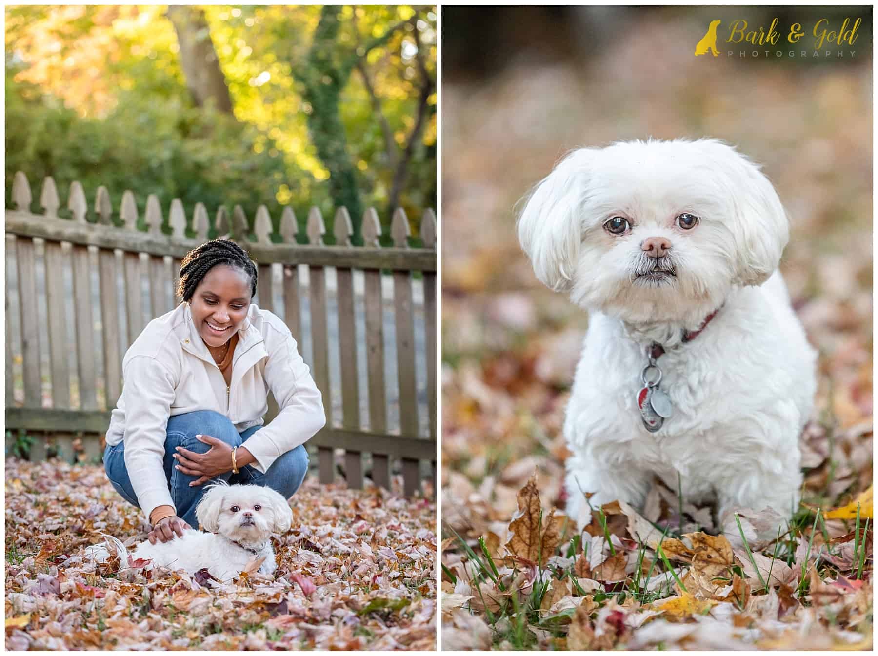 a small white senior with her beautiful human in the leaves during a backyard Rainbow Session near Pittsburgh