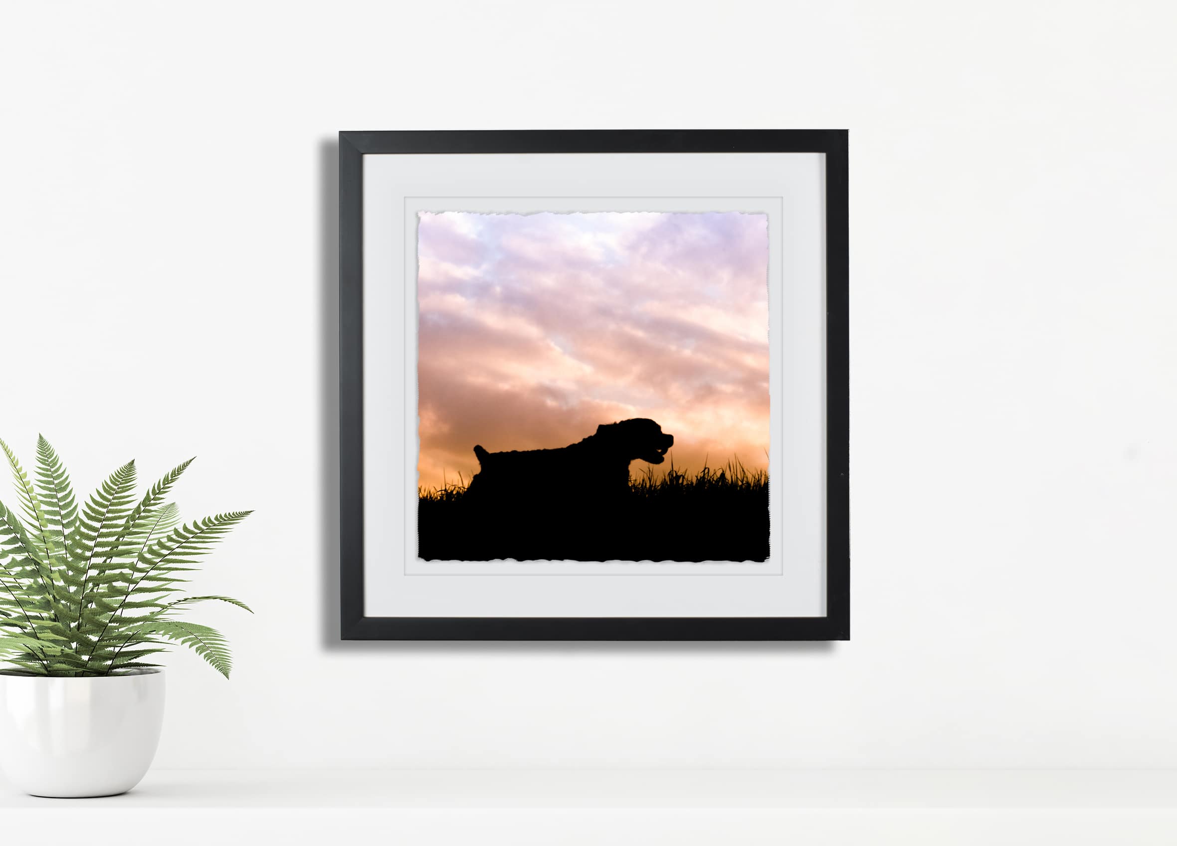 deckled edge framed print from a Silhouette Sunset Session