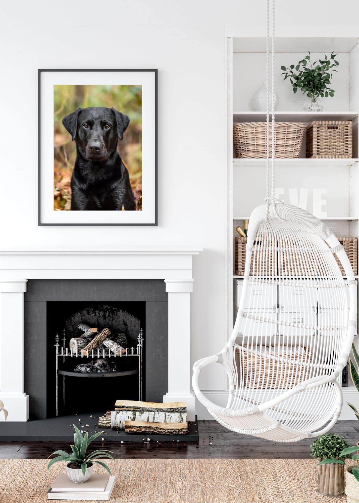 framed print of a black Labrador above a fireplace in a white bobo-inspired room