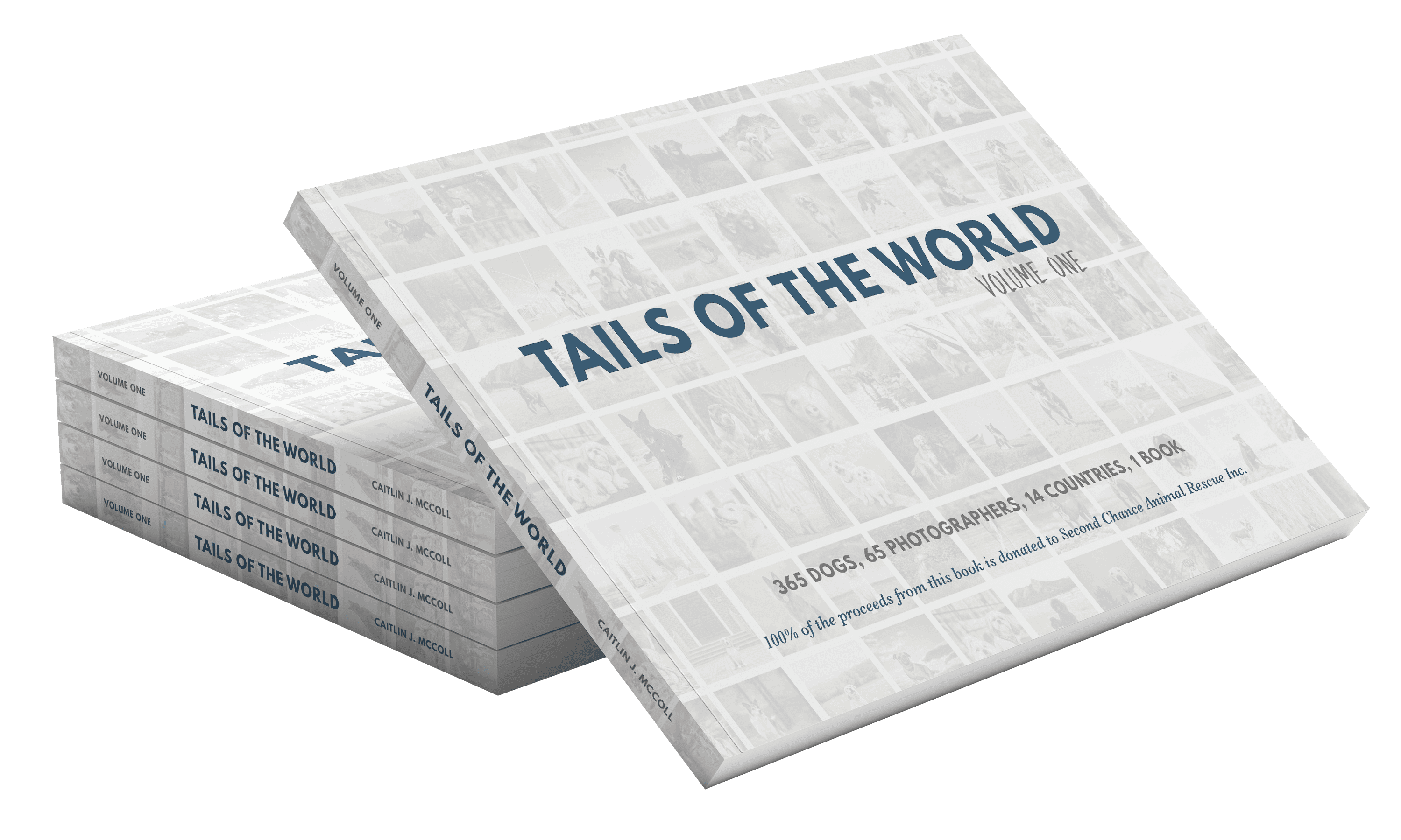 stacked copies of the Tails of the World, Volume One book